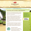 Lipton Pureleaf Site Update 2